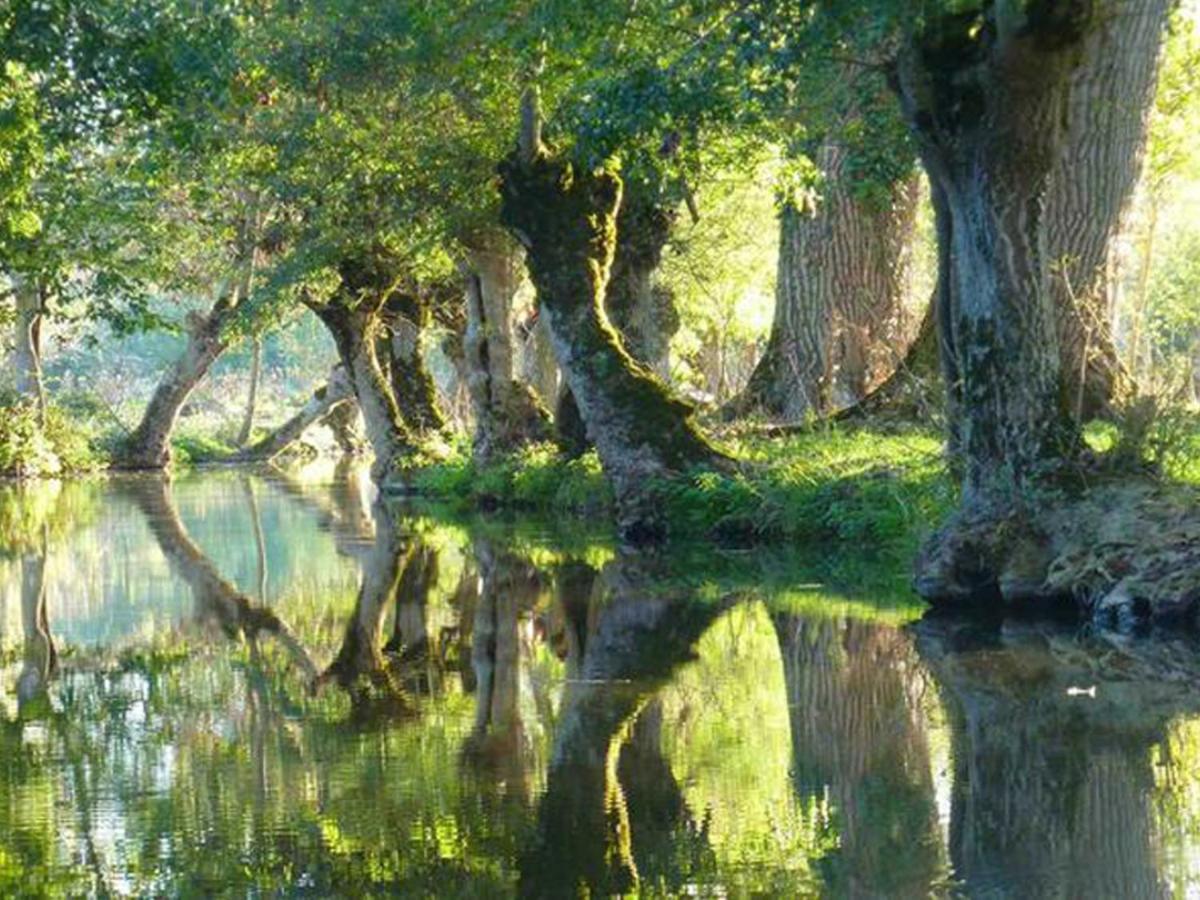 LA LAUJÈRE IVIE - Gîte&Piscine privative Saint-Hilaire-du-Bois  Esterno foto